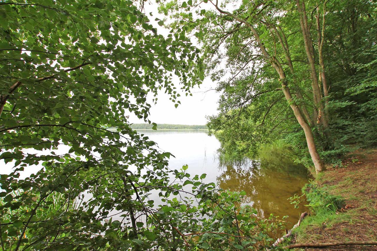 Ferienwohnung Im Forsthaus Am See Schwarz Εξωτερικό φωτογραφία